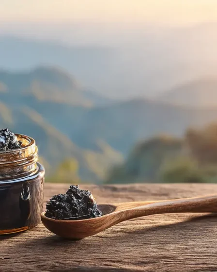 acide fulvique complément alimentaire​